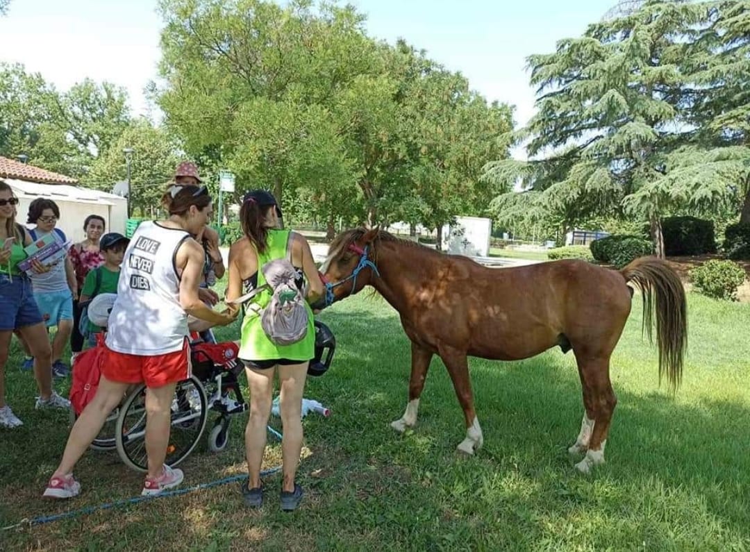 Kidup.gr Summer camps σε όλη την Ελλάδα, Αθήνα, Θεσσαλονίκη, Ηράκλειο, Πάτρα, Βόλος