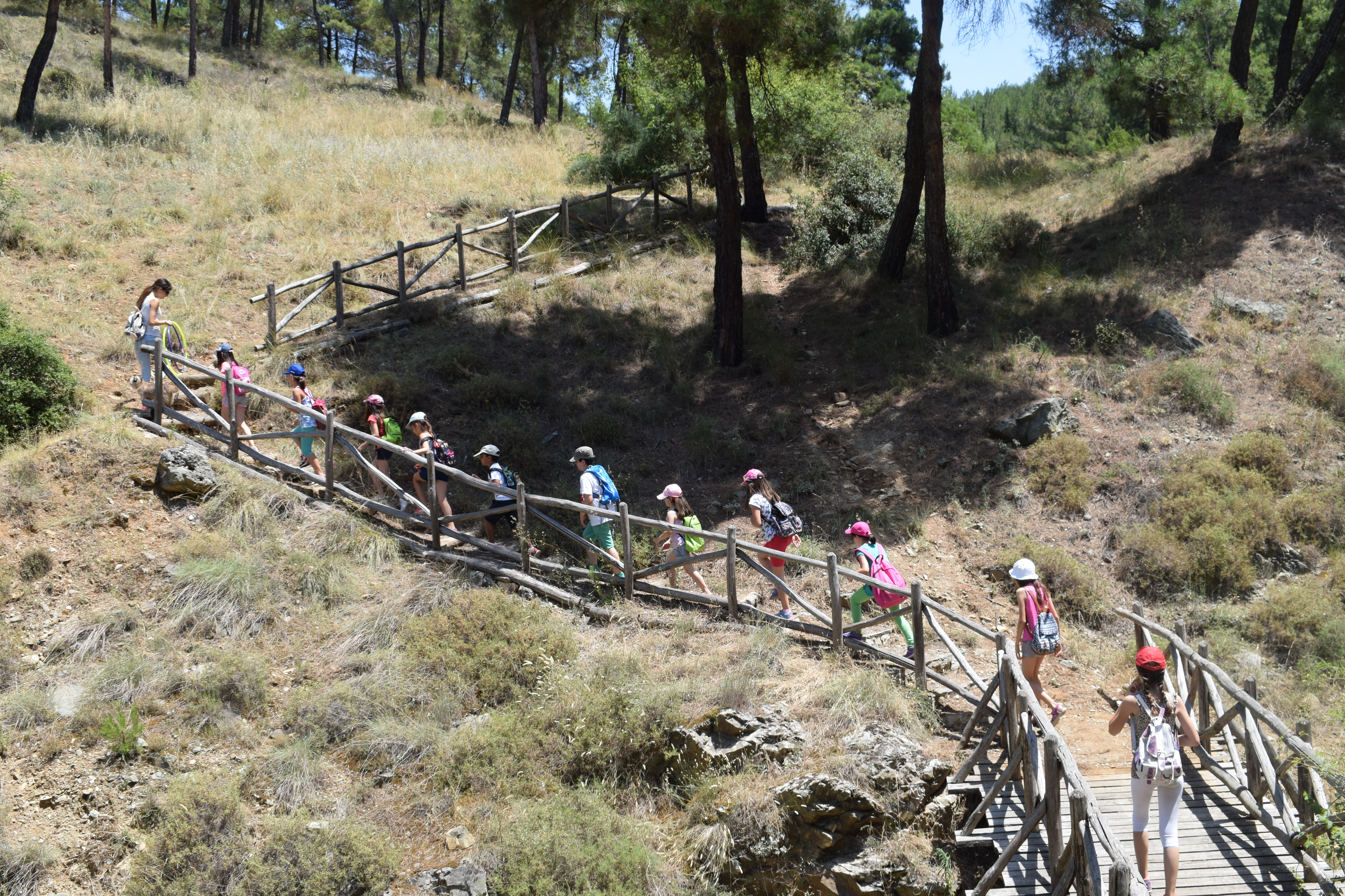 Kidup.gr Summer camps σε όλη την Ελλάδα, Αθήνα, Θεσσαλονίκη, Ηράκλειο, Πάτρα, Βόλος